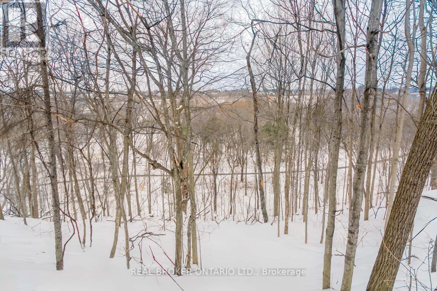 Basement - 120 Hadrian Drive, Toronto (Elms-Old Rexdale), Ontario  M9W 1V4 - Photo 28 - W12761816