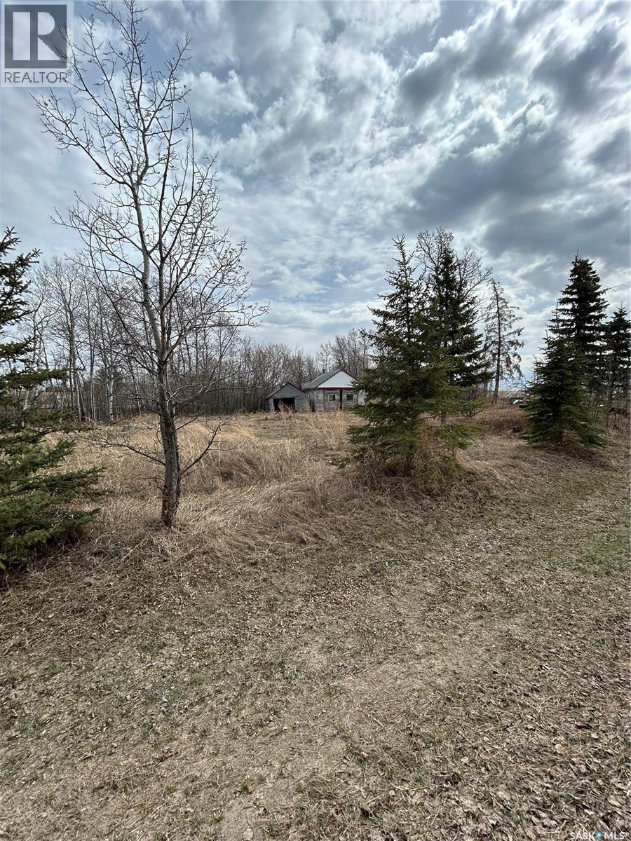 Mcgregor Acreage, Star City, Saskatchewan  S0E 0B9 - Photo 10 - SK028013