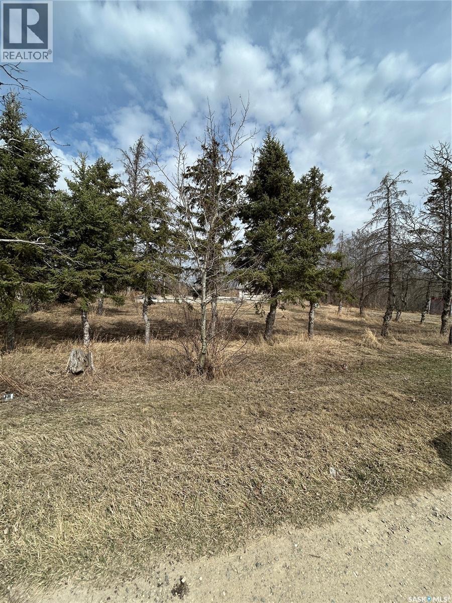 Mcgregor Acreage, Star City, Saskatchewan  S0E 0B9 - Photo 7 - SK028013