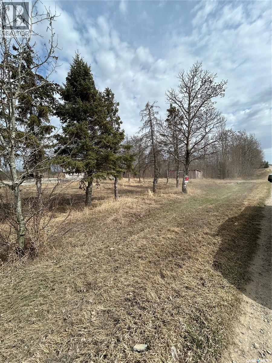 Mcgregor Acreage, Star City, Saskatchewan  S0E 0B9 - Photo 8 - SK028013