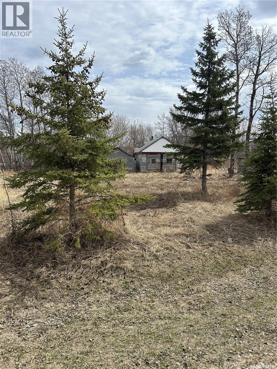 Mcgregor Acreage, Star City, Saskatchewan  S0E 0B9 - Photo 9 - SK028013