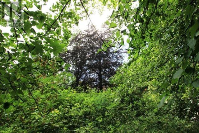 22 Topsail Road, St. John's, Newfoundland & Labrador  A1E 2A5 - Photo 6 - 1294343