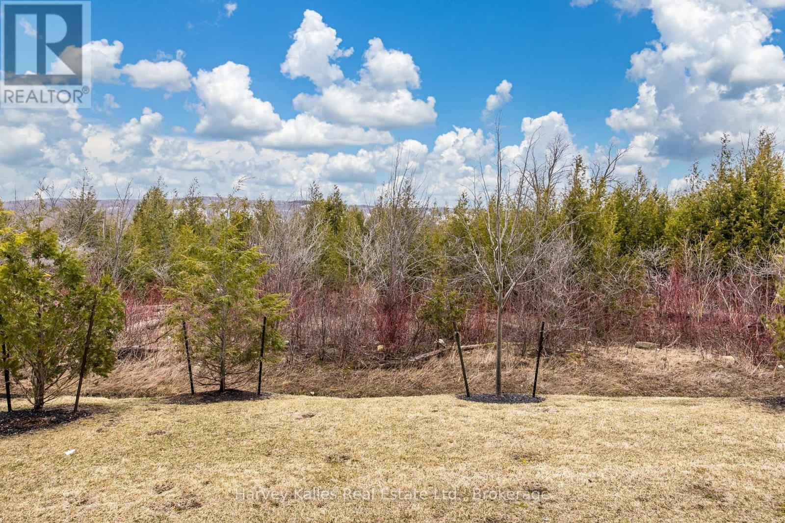 103 - 16 Beckwith Lane, Blue Mountains, Ontario  L9Y 3B6 - Photo 24 - X12762106