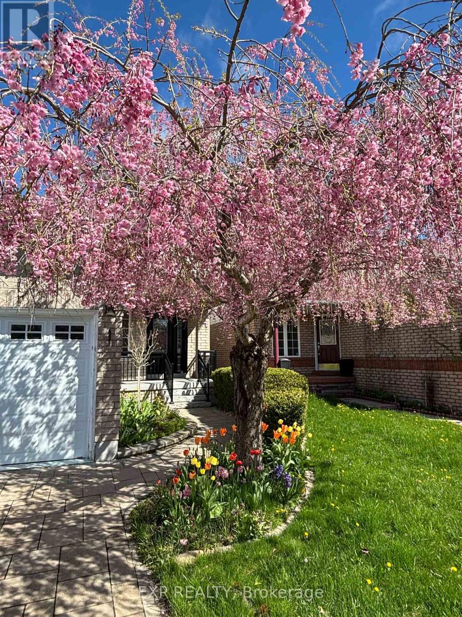 1202 Andrade Lane, Innisfil (Alcona), Ontario  L9S 4X6 - Photo 7 - N12762262