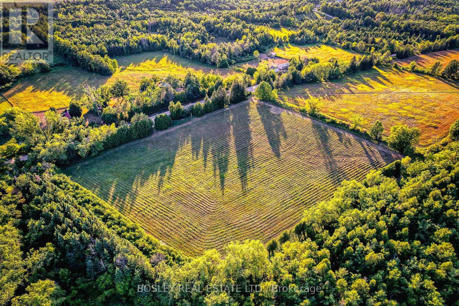 41 Silver Heights Drive, Trent Hills (Hastings), Ontario  K1L 1Y0 - Photo 11 - X12762202