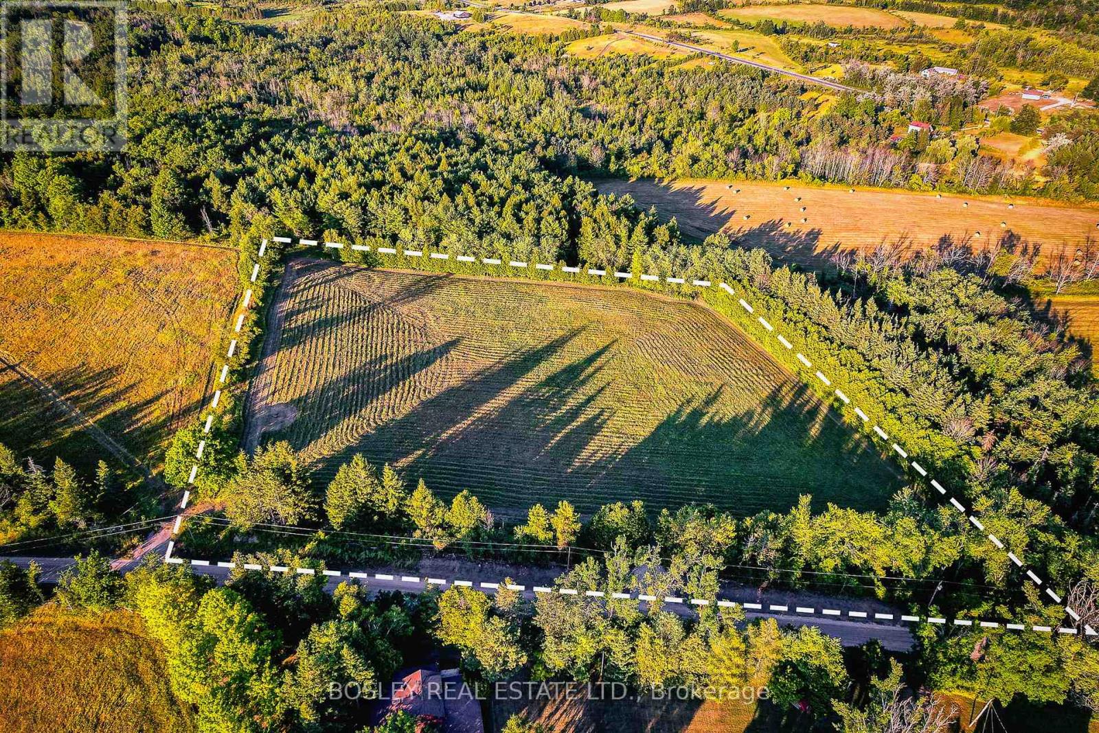 41 Silver Heights Drive, Trent Hills (Hastings), Ontario  K1L 1Y0 - Photo 12 - X12762202