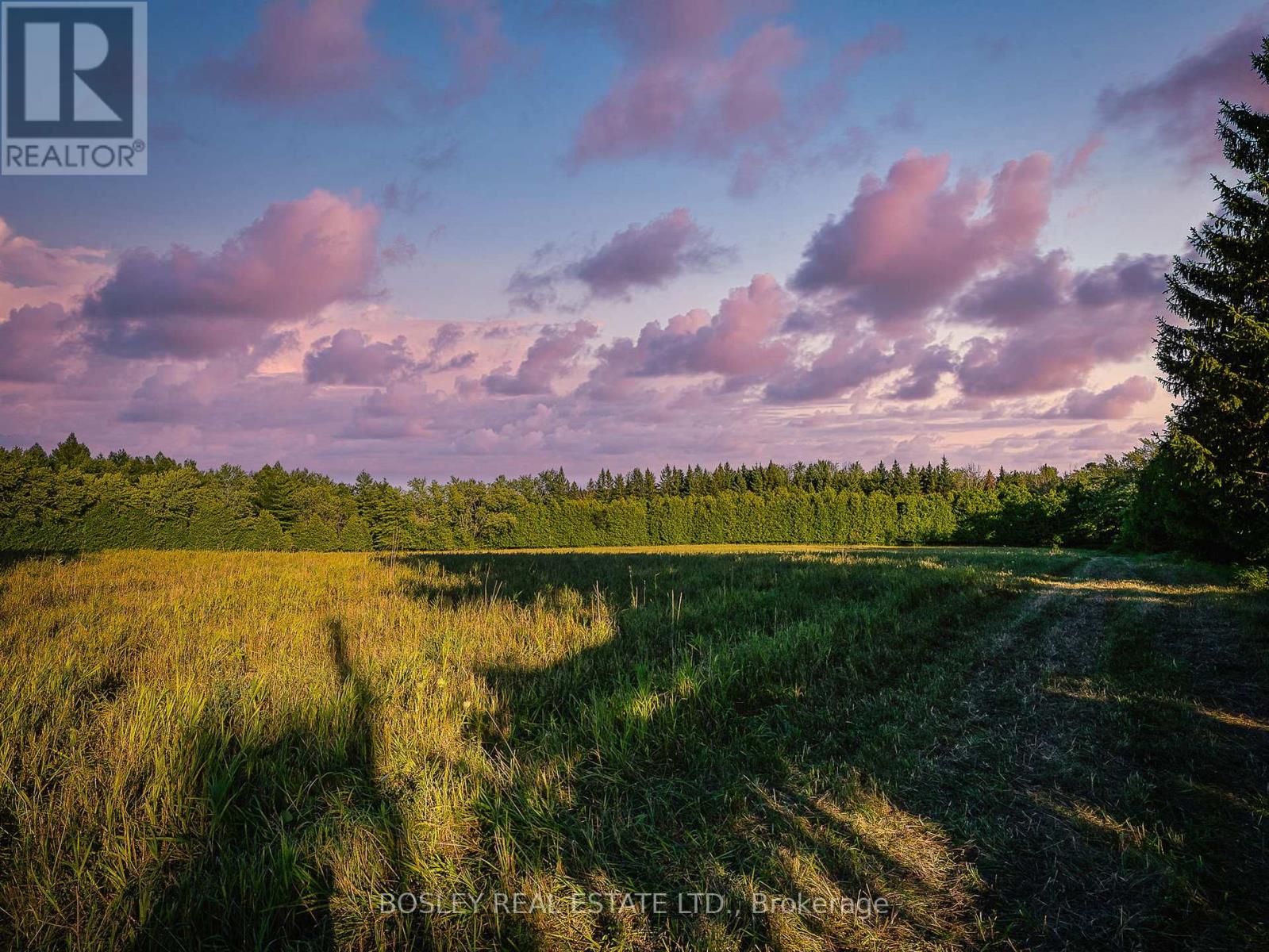 41 Silver Heights Drive, Trent Hills (Hastings), Ontario  K1L 1Y0 - Photo 18 - X12762202