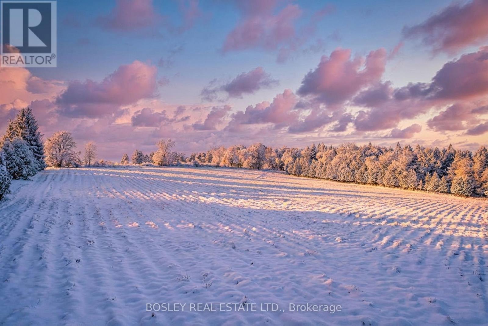 41 Silver Heights Drive, Trent Hills (Hastings), Ontario  K1L 1Y0 - Photo 2 - X12762202