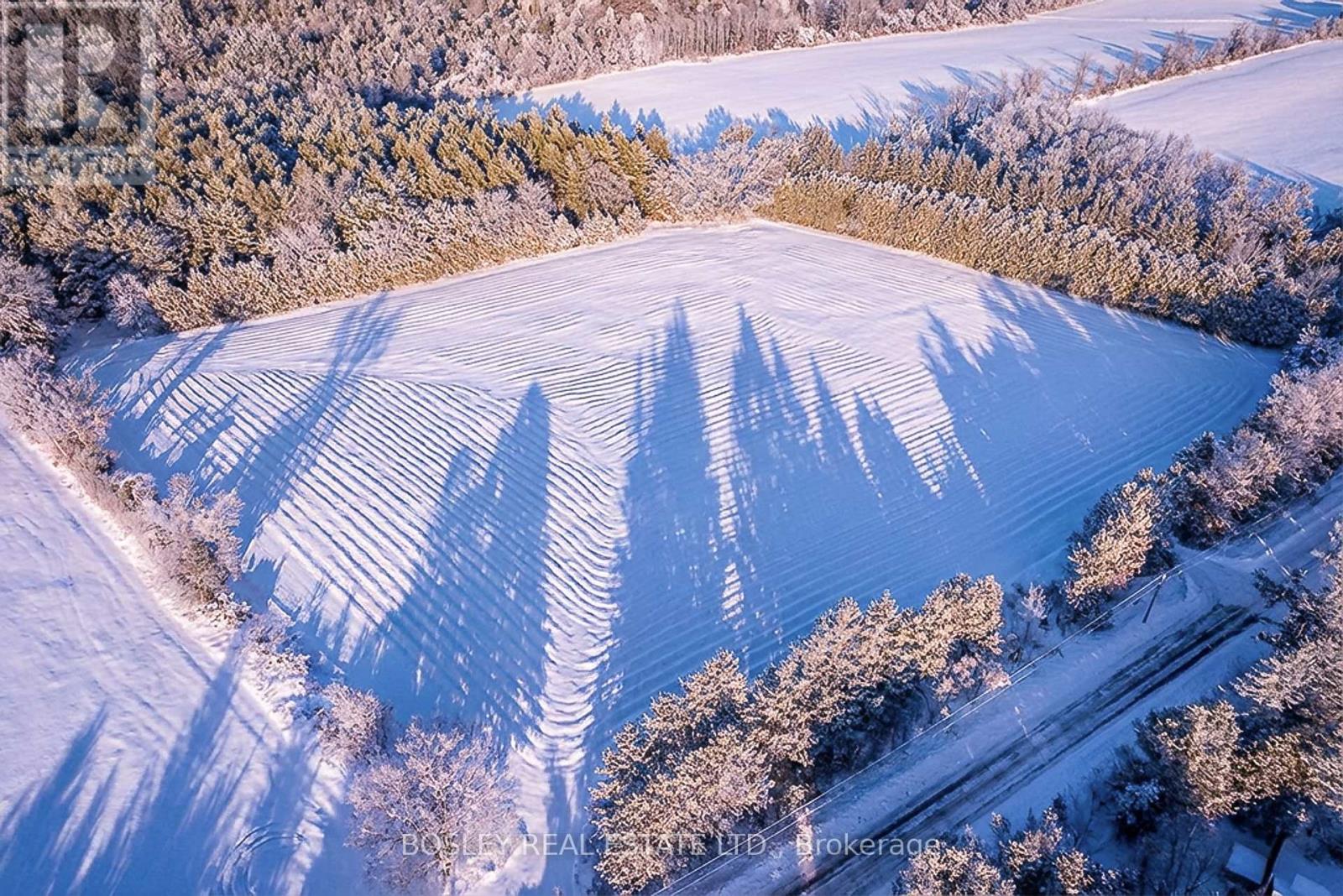 41 Silver Heights Drive, Trent Hills (Hastings), Ontario  K1L 1Y0 - Photo 4 - X12762202