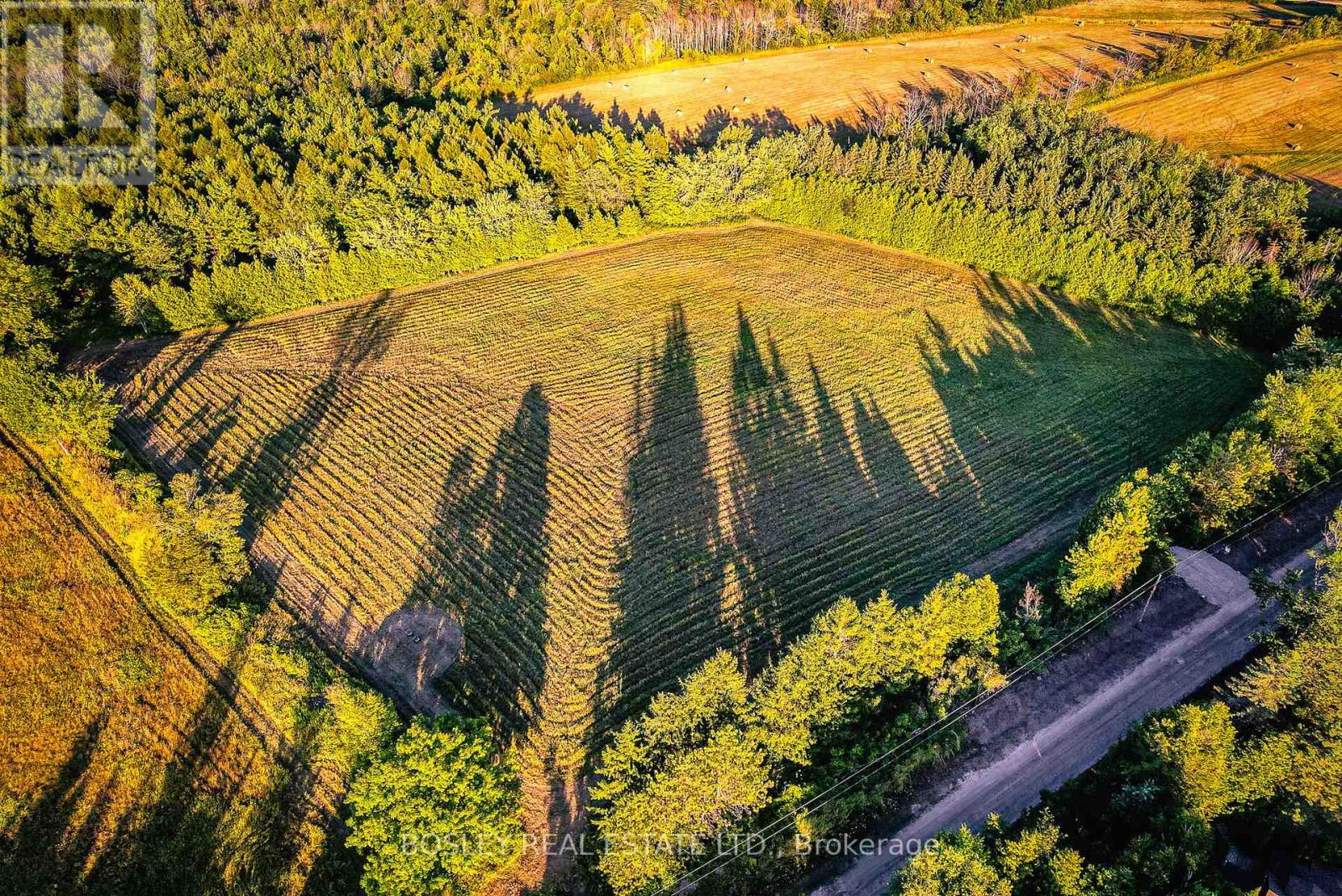 41 Silver Heights Drive, Trent Hills (Hastings), Ontario  K1L 1Y0 - Photo 7 - X12762202