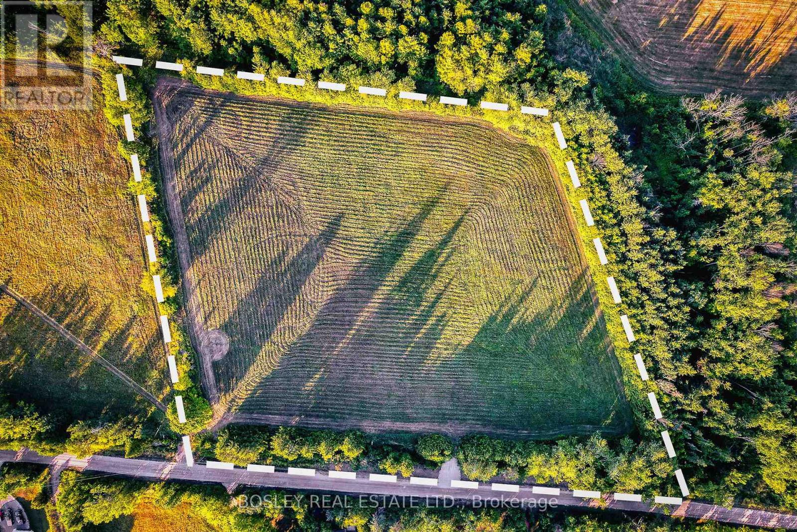 41 Silver Heights Drive, Trent Hills (Hastings), Ontario  K1L 1Y0 - Photo 8 - X12762202