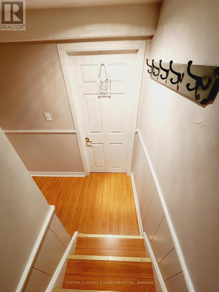 7275 Corrine Crescent, Mississauga, Ontario  L5N 5C3 - Photo 28 - W12761980