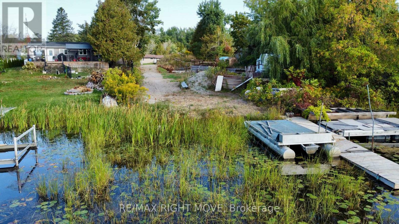 175 Mcguire Beach Road, Kawartha Lakes, Ontario  K0M 2B0 - Photo 7 - X12413716