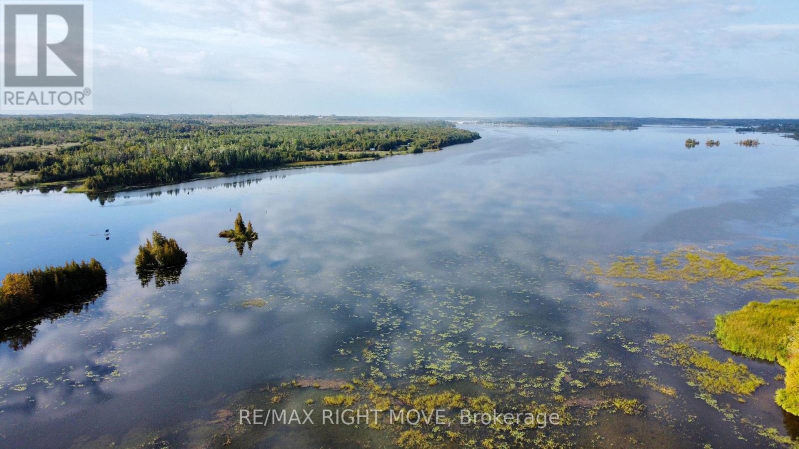 175 Mcguire Beach Road, Kawartha Lakes, Ontario  K0M 2B0 - Photo 8 - X12413716