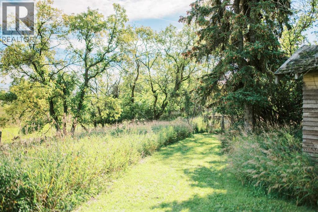 4406 47 Avenue, Stettler, Alberta  T4K 0B7 - Photo 10 - A2252007