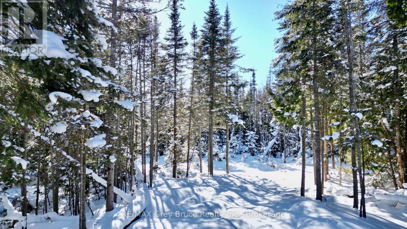 Lot 22 Ray Drive, Northern Bruce Peninsula, Ontario  N0H 2R0 - Photo 11 - X12728198