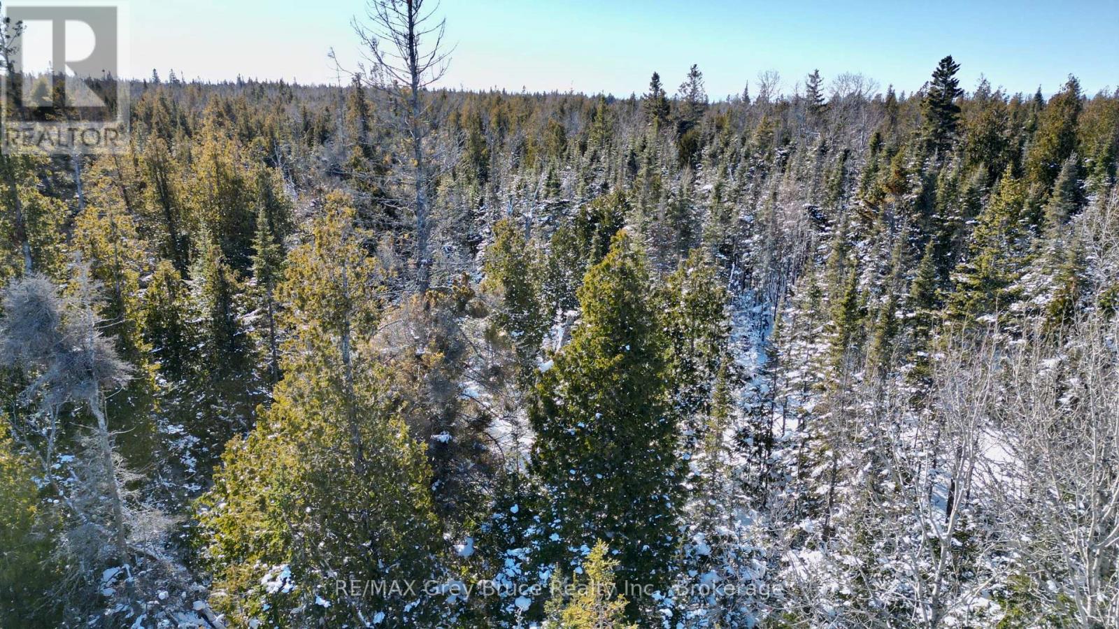 Lot 22 Ray Drive, Northern Bruce Peninsula, Ontario  N0H 2R0 - Photo 2 - X12728198