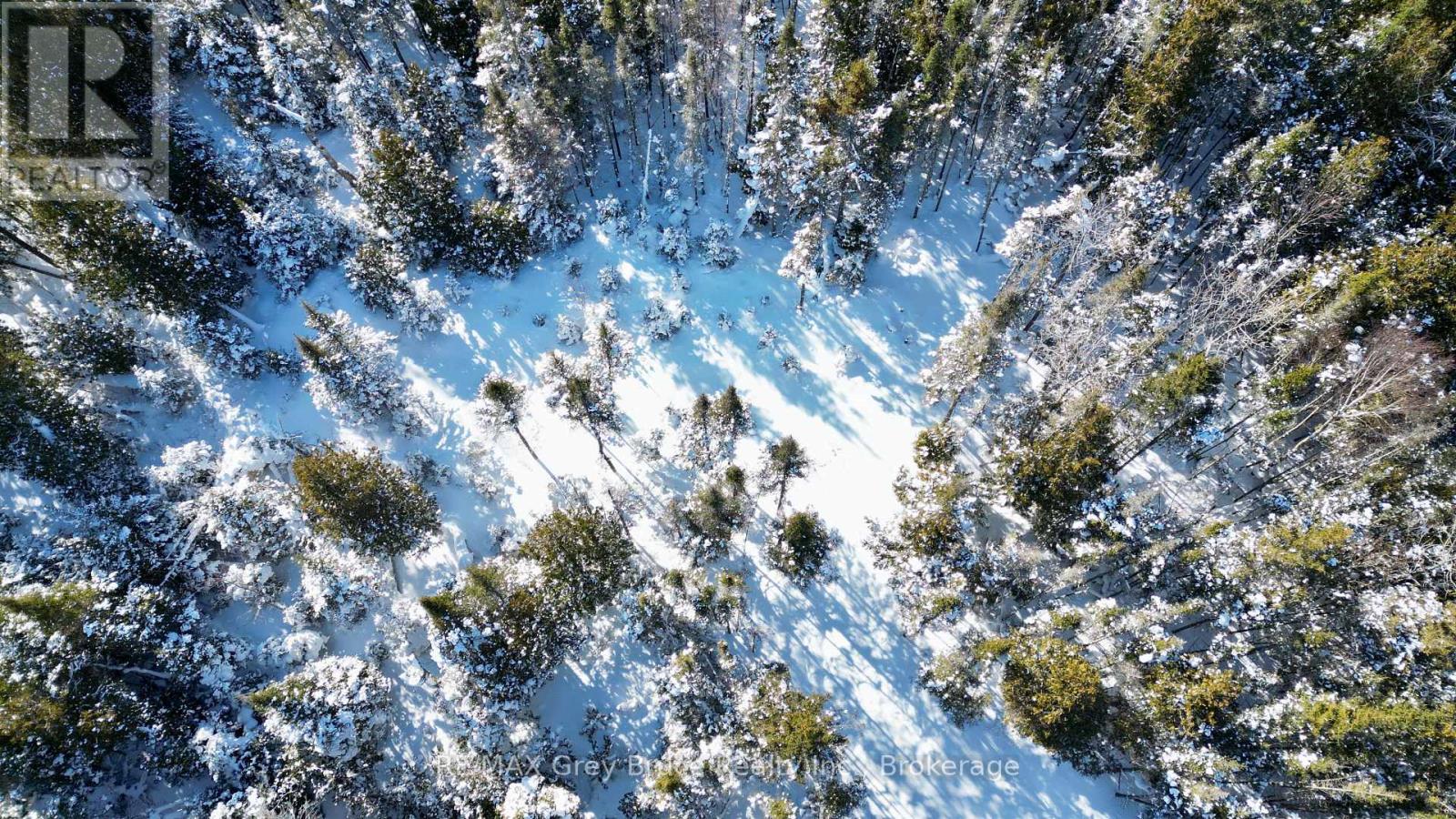 Lot 22 Ray Drive, Northern Bruce Peninsula, Ontario  N0H 2R0 - Photo 5 - X12728198