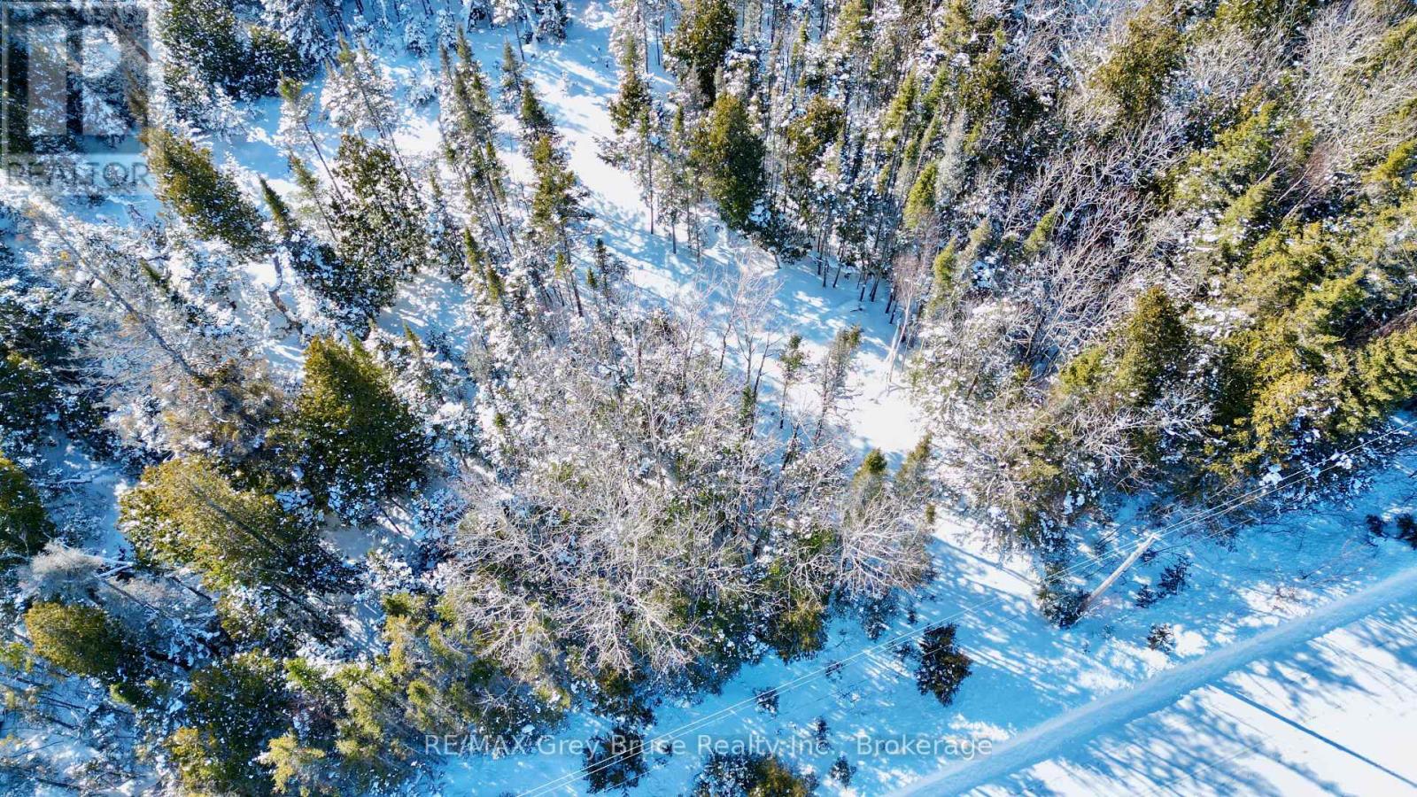 Lot 22 Ray Drive, Northern Bruce Peninsula, Ontario  N0H 2R0 - Photo 8 - X12728198