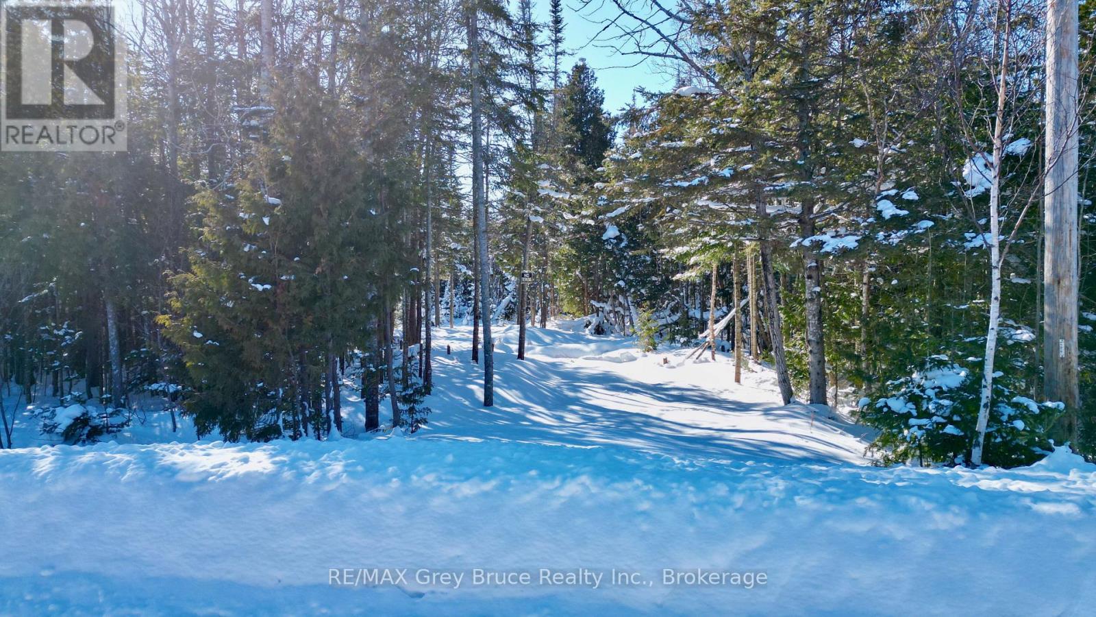 Lot 22 Ray Drive, Northern Bruce Peninsula, Ontario  N0H 2R0 - Photo 9 - X12728198