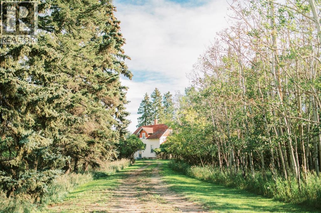 4406 47 Avenue, Stettler, Alberta  T4K 0B7 - Photo 6 - A2247746