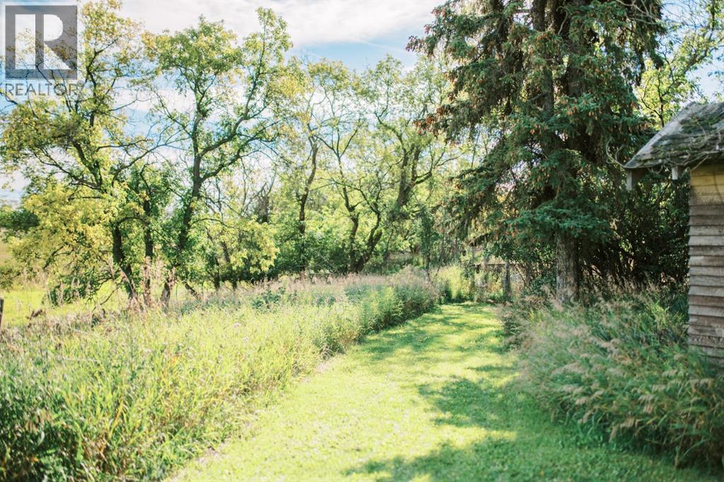 4406 47 Avenue, Stettler, Alberta  T4K 0B7 - Photo 10 - A2247746