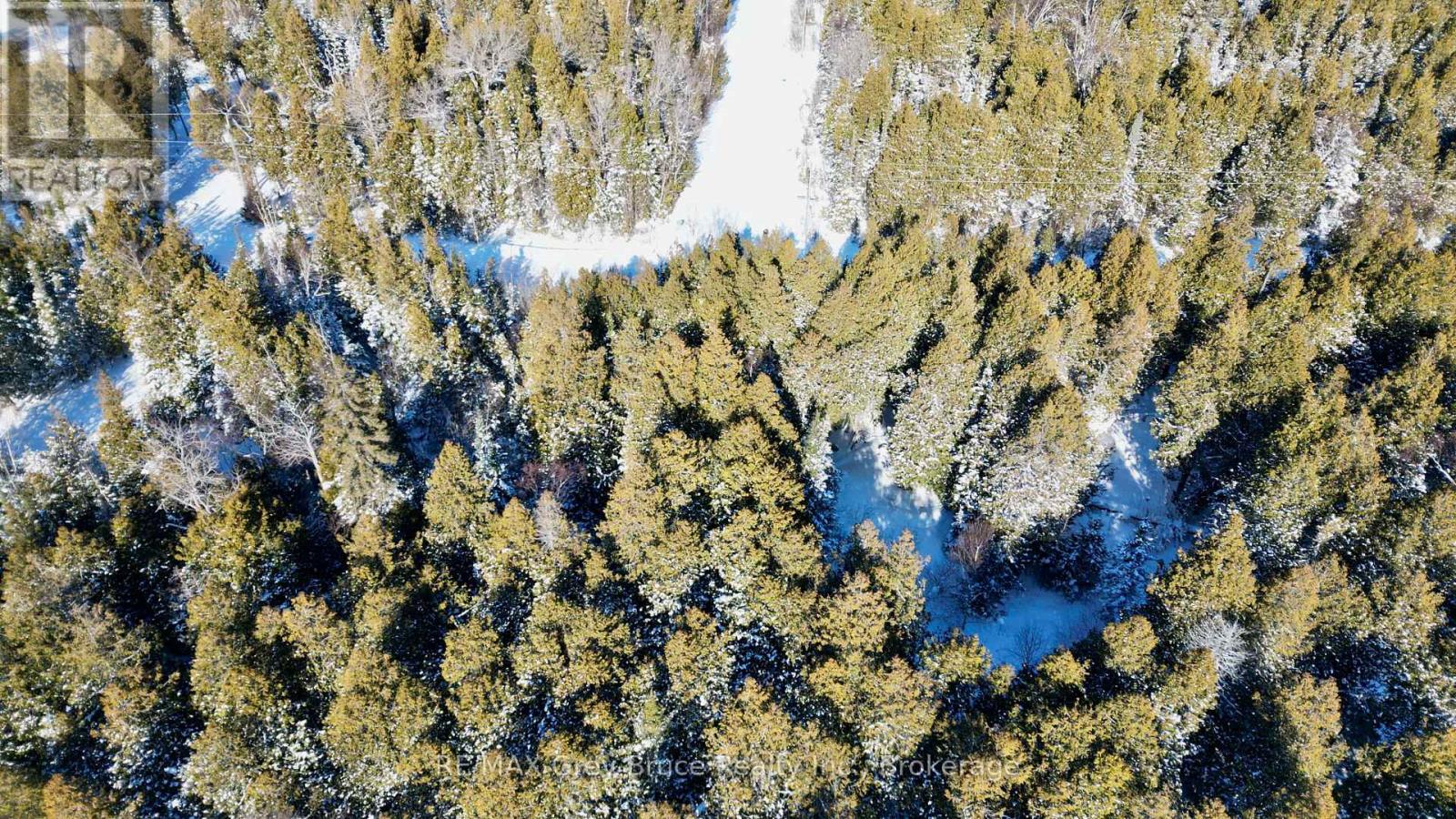 Lot 30 Myles Drive, Northern Bruce Peninsula, Ontario  N0H 2R0 - Photo 6 - X12728236