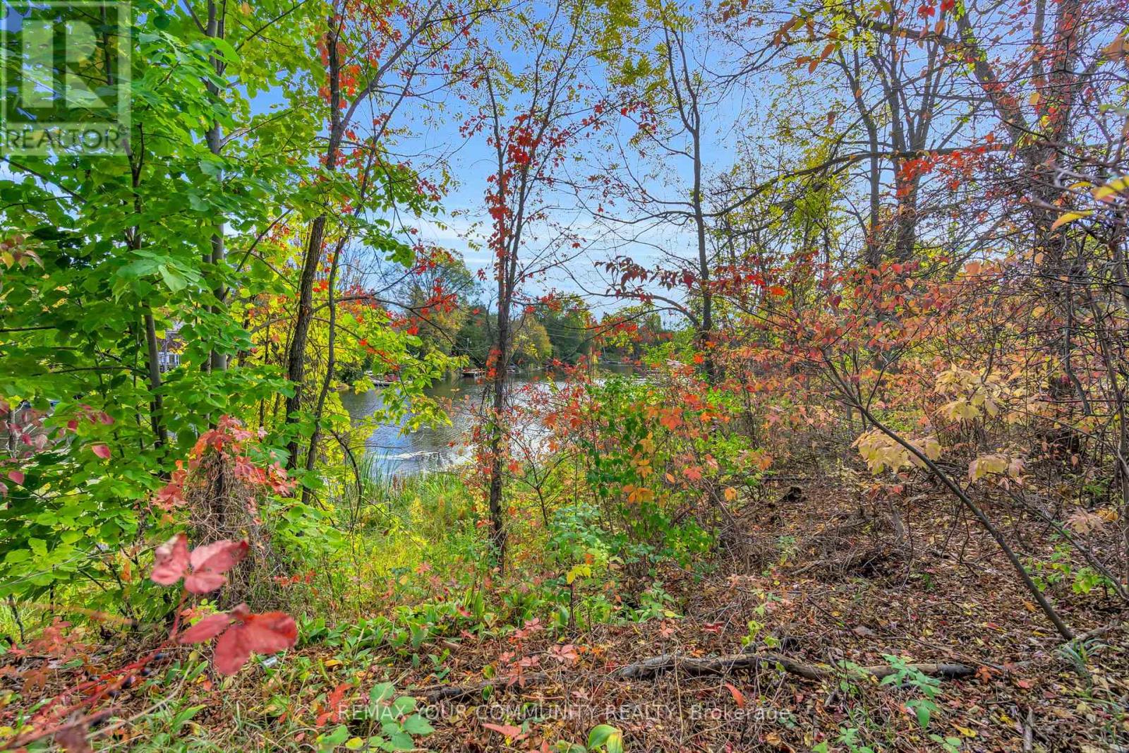 3 Catering Road, Georgina, Ontario  L0E 1R0 - Photo 40 - N12762434