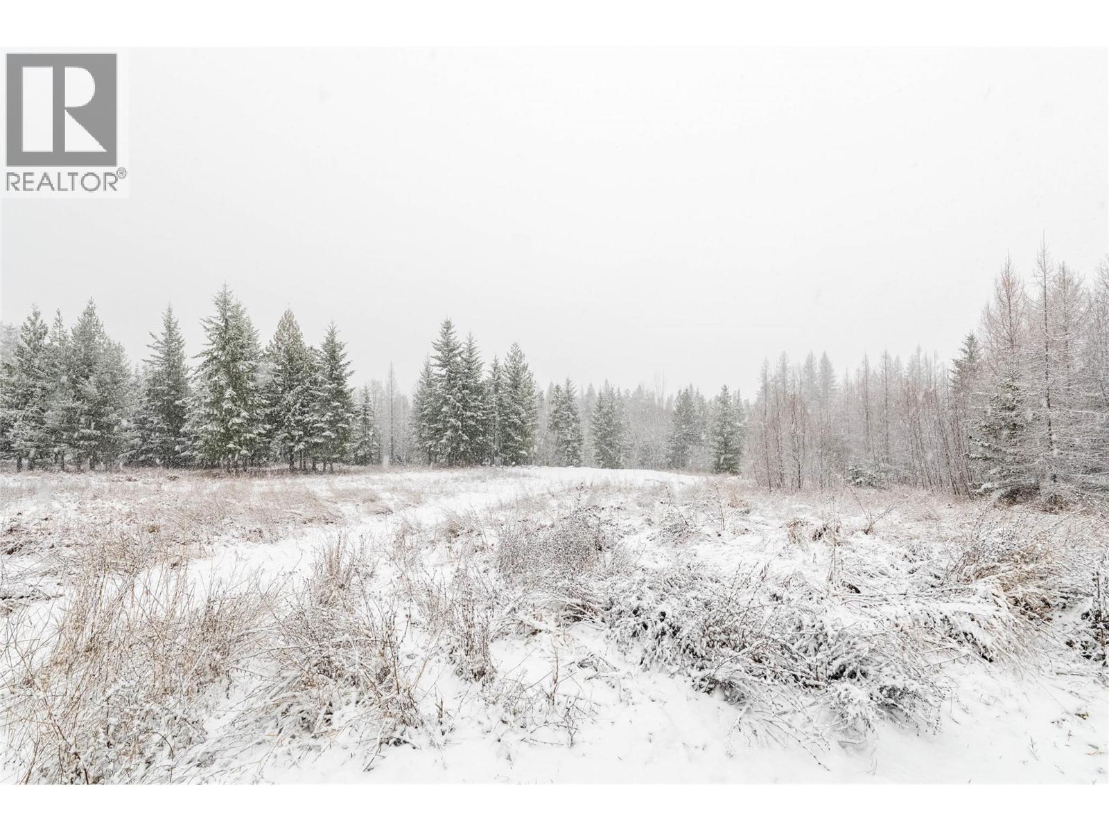 Lot A Meadow Creek Road Lot# Epp 14822, Meadow Creek, British Columbia  V0G 1N0 - Photo 12 - 10372218