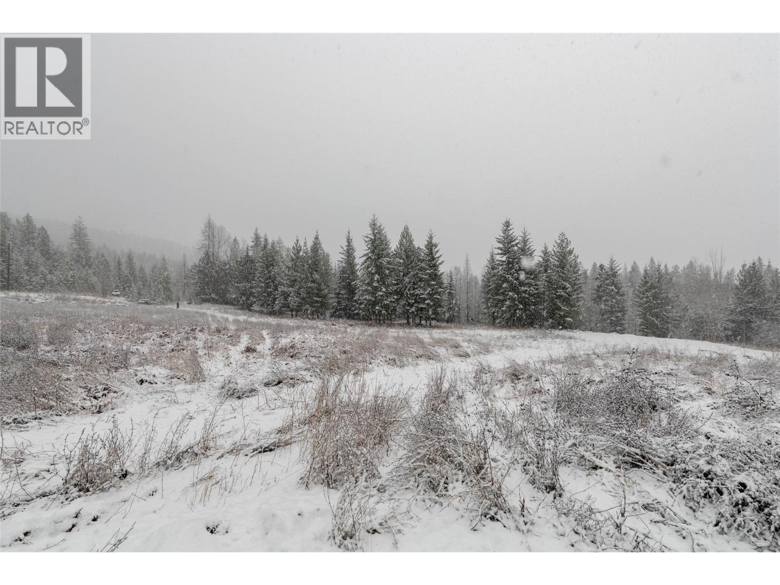 Lot A Meadow Creek Road Lot# Epp 14822, Meadow Creek, British Columbia  V0G 1N0 - Photo 11 - 10372218