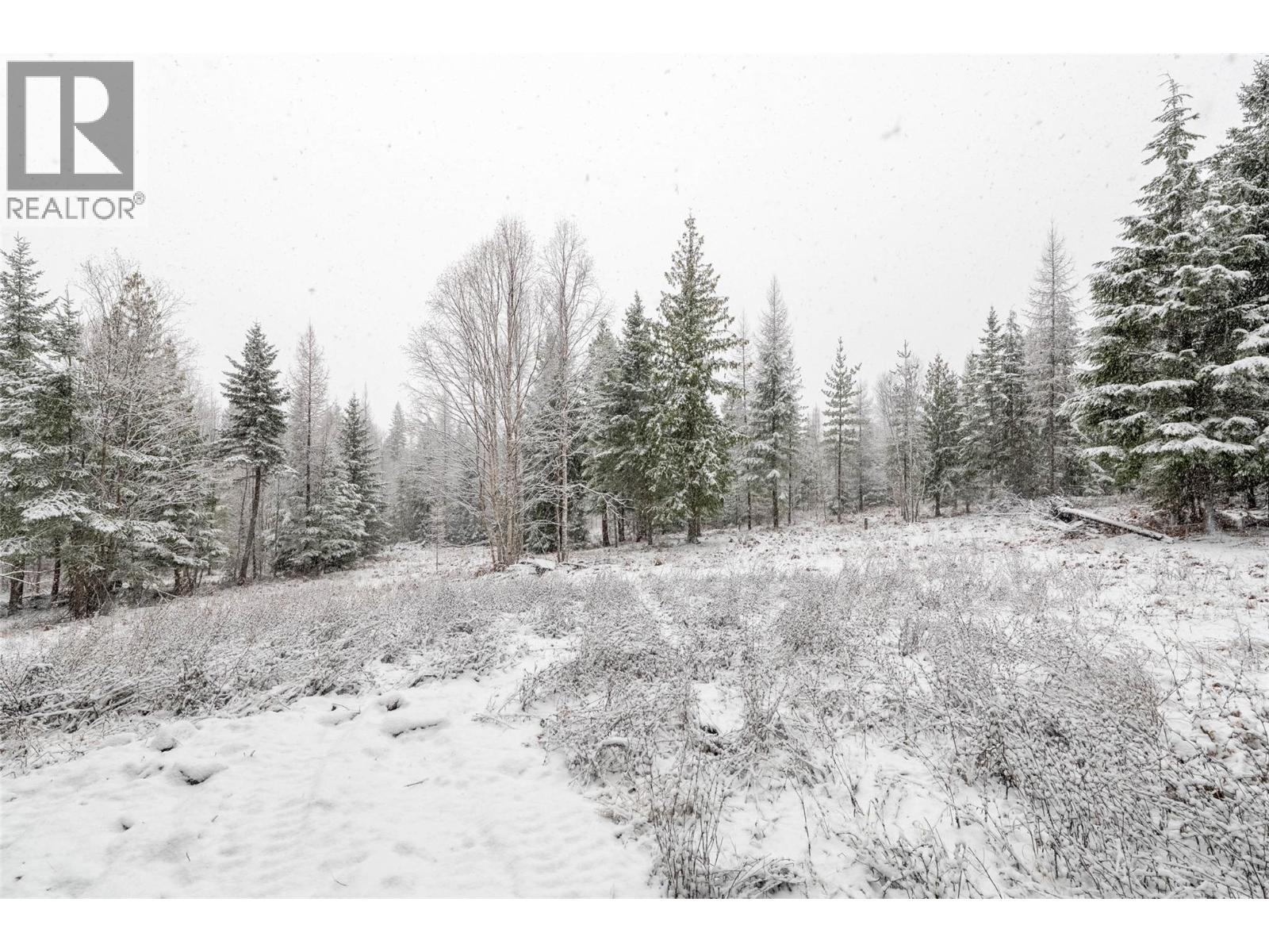 Lot A Meadow Creek Road Lot# Epp 14822, Meadow Creek, British Columbia  V0G 1N0 - Photo 16 - 10372218
