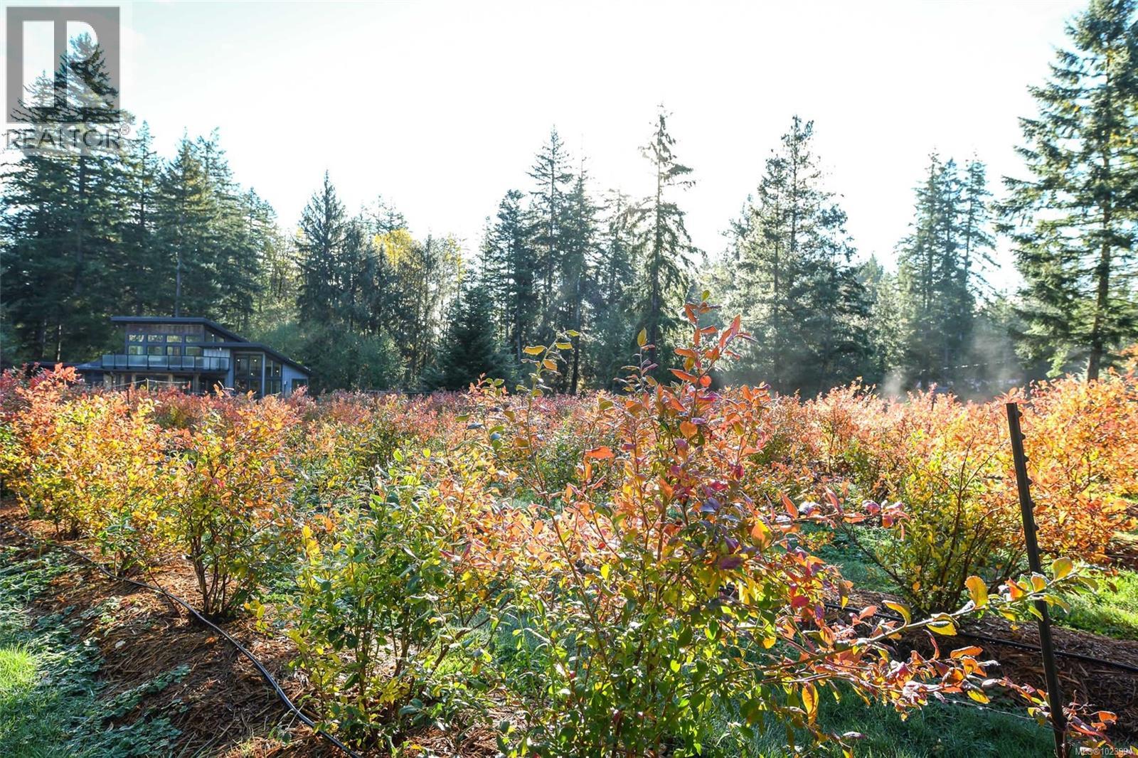 7592/7586 Gabby Rd, Merville, British Columbia  V0R 2M0 - Photo 97 - 1023994