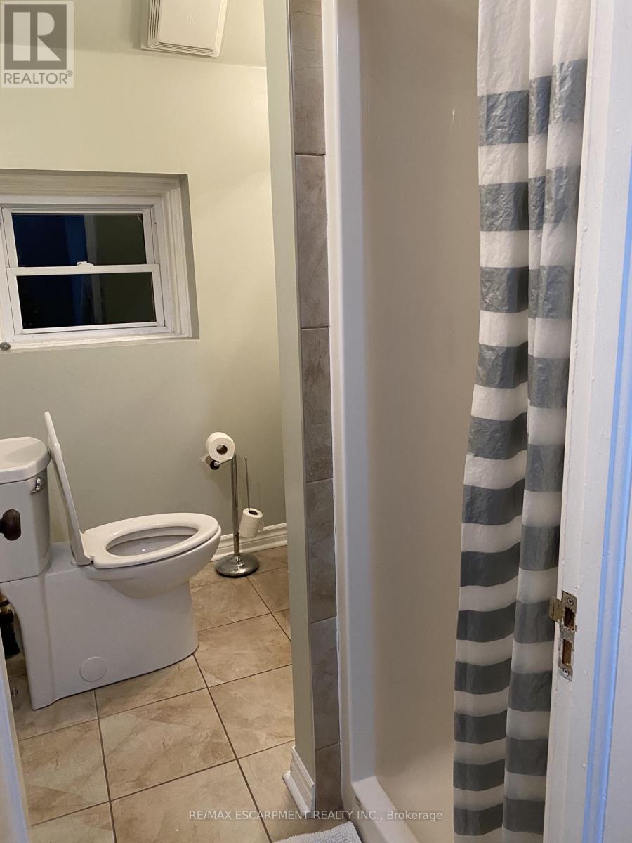 184 Arkell Street, Hamilton, Ontario  L8S 1W8 - Photo 17 - X12761100