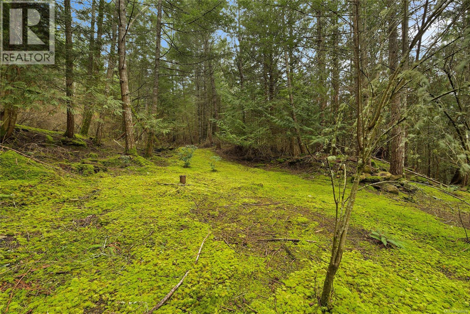 493 Abbott Rd, Mayne Island, British Columbia  V0N 2J1 - Photo 60 - 1024028