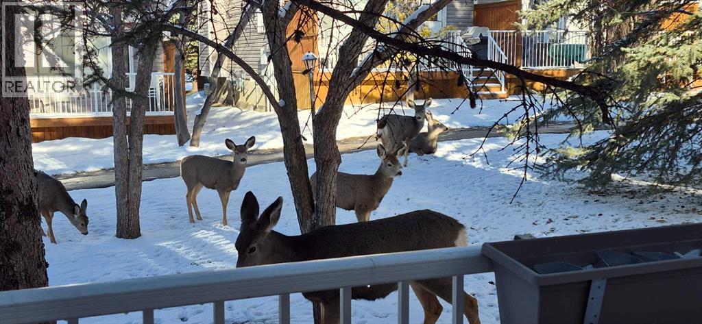 206 Cedarwood Park Sw, Calgary, Alberta  T2W 5T6 - Photo 25 - A2278494