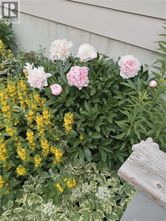 4 Maple Crescent, Paris, Ontario  N3L 3R4 - Photo 28 - 40798993