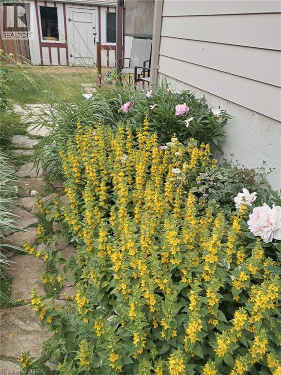 4 Maple Crescent, Paris, Ontario  N3L 3R4 - Photo 29 - 40798993