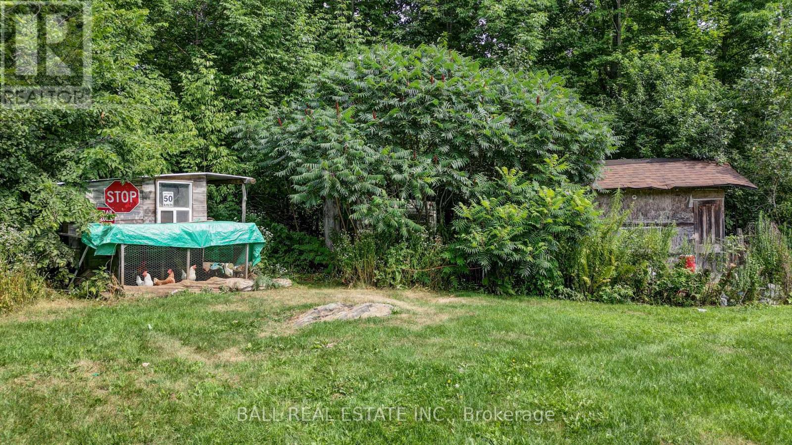 1156 St Ola Road, Limerick, Ontario K0L 1W0 - Photo 23 - X12325631