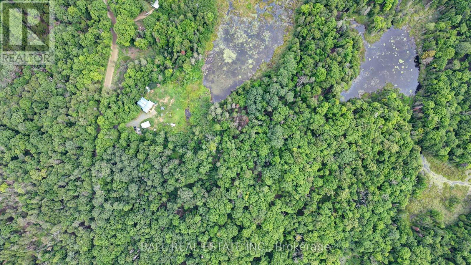 1156 St Ola Road, Limerick, Ontario K0L 1W0 - Photo 7 - X12325631