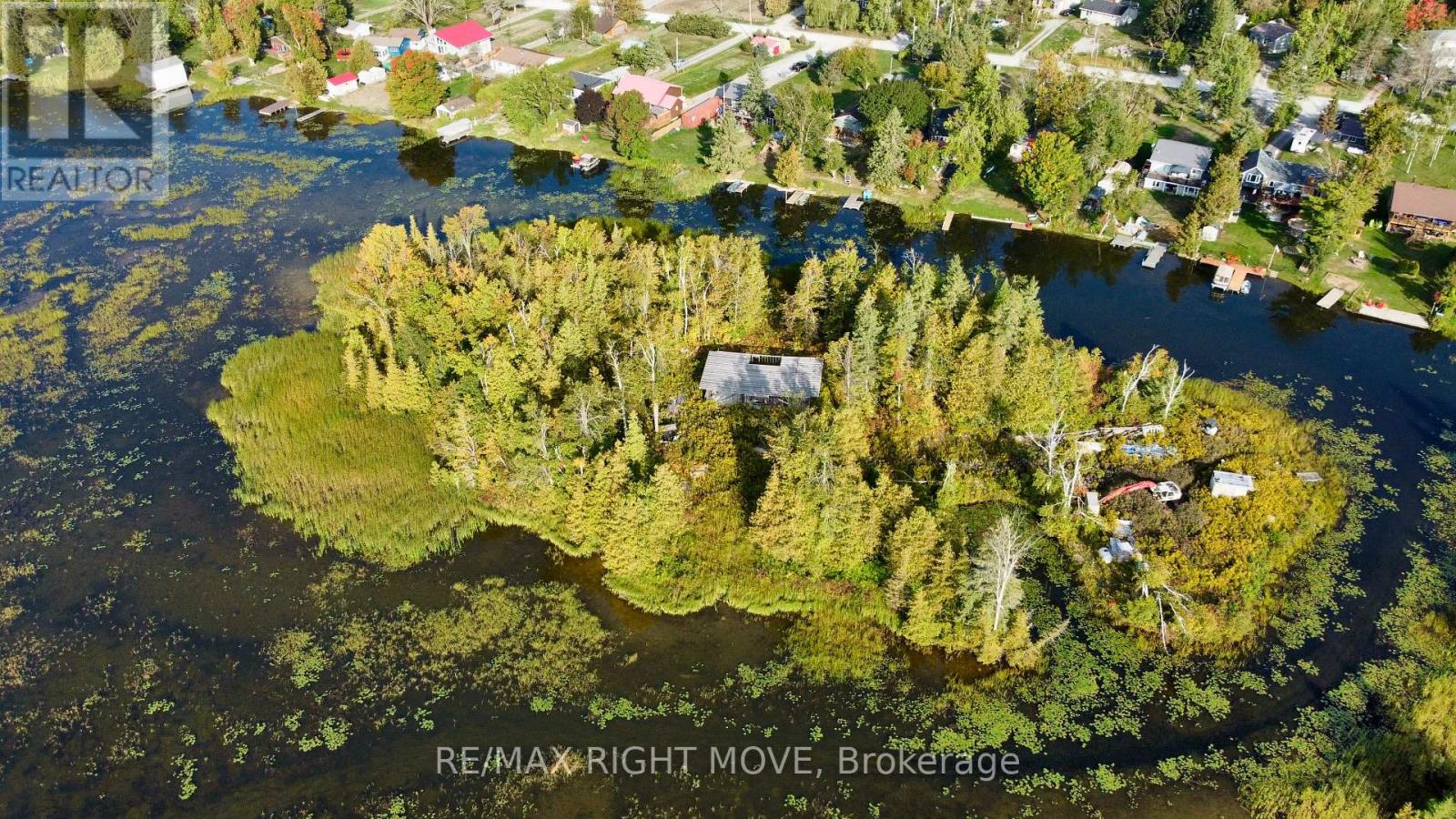0 Mcguire Beach Road, Kawartha Lakes, Ontario  K0M 2B0 - Photo 2 - X12762696