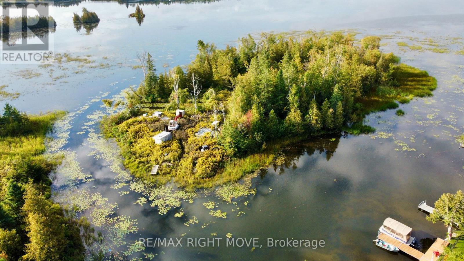 0 Mcguire Beach Road, Kawartha Lakes, Ontario  K0M 2B0 - Photo 4 - X12762696