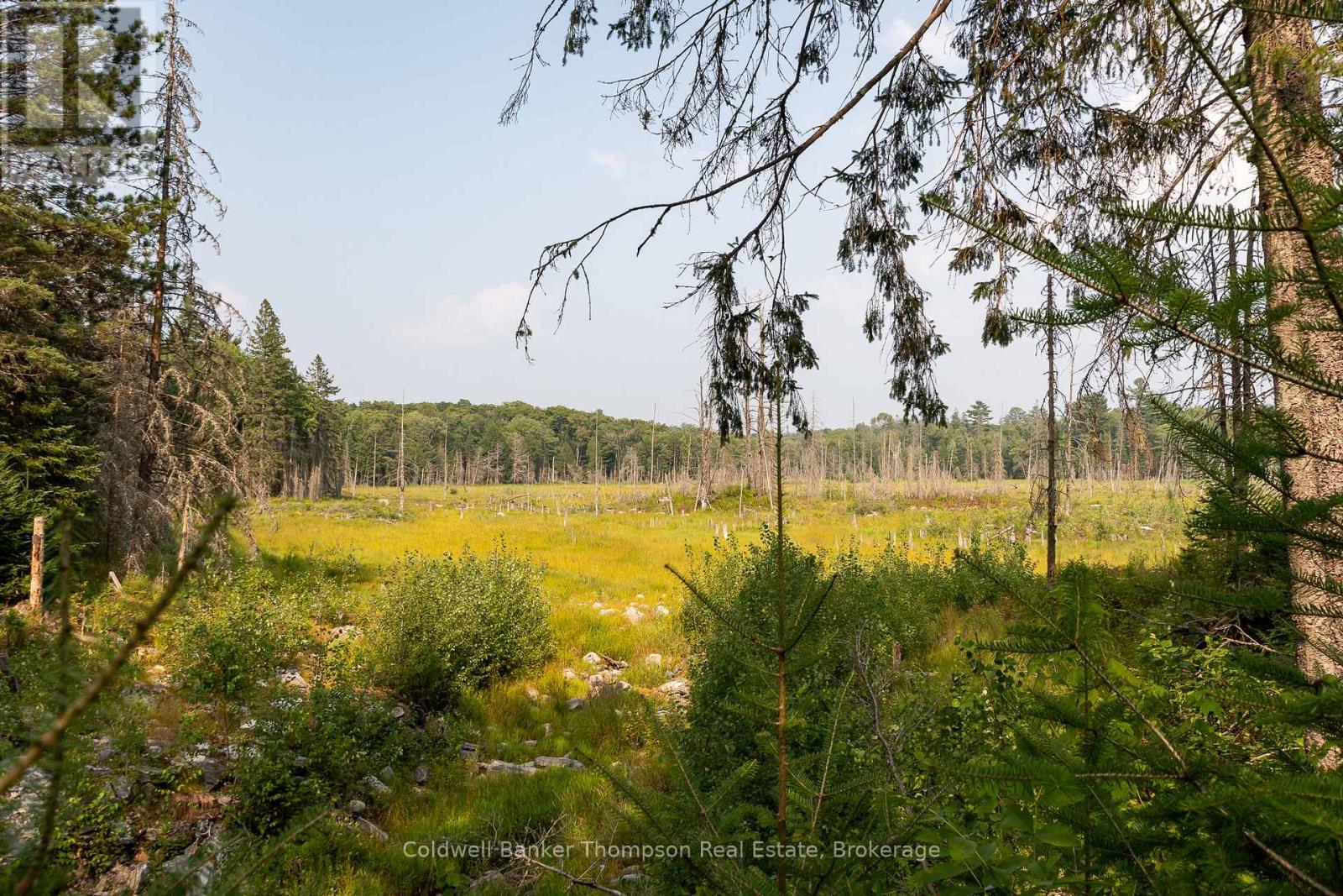 1095 Williamsport Road, Huntsville, Ontario  P1H 2J4 - Photo 42 - X12762844