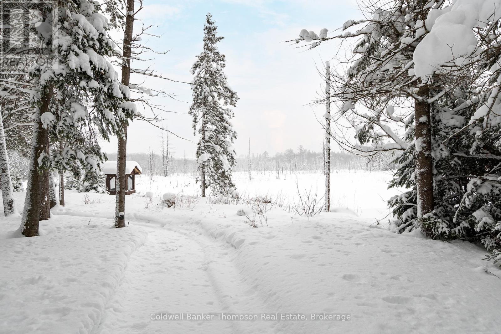 1095 Williamsport Road, Huntsville, Ontario  P1H 2J4 - Photo 48 - X12762844