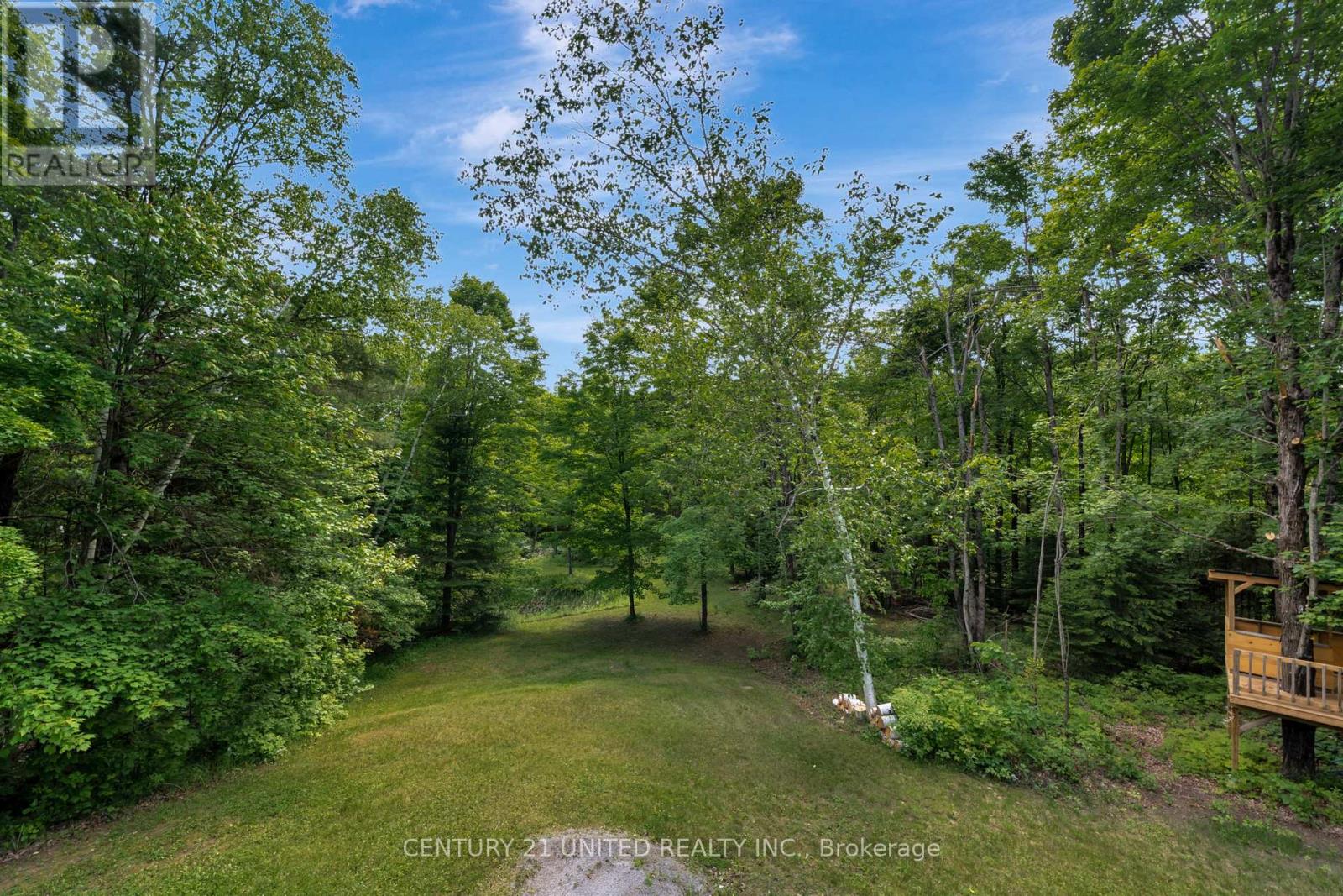 62 Mccauley's Road, North Kawartha, Ontario  K0L 1A0 - Photo 37 - X12762898