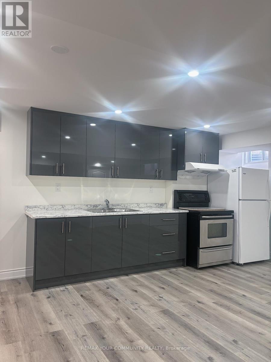 Basement - 1 Samson Trail, King, Ontario  L7B 0A6 - Photo 4 - N12762768