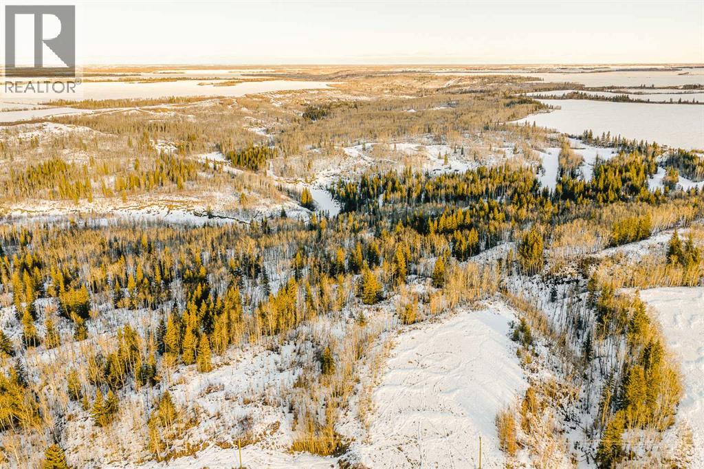 781004 42 Range, Rural Spirit River No. 133, Alberta  T0H 3A0 - Photo 43 - A2280959