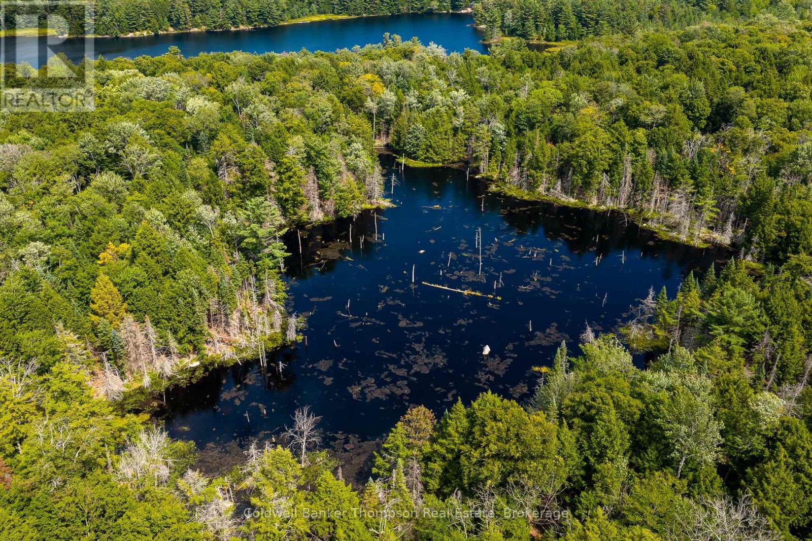 4620 Aspdin Road, Muskoka Lakes, Ontario  P0C 1J0 - Photo 45 - X12763246