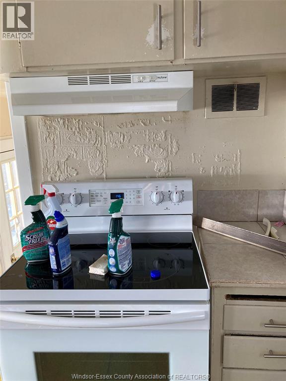 317 Askin, Windsor, Ontario  N9B 2X1 - Photo 9 - 26002634