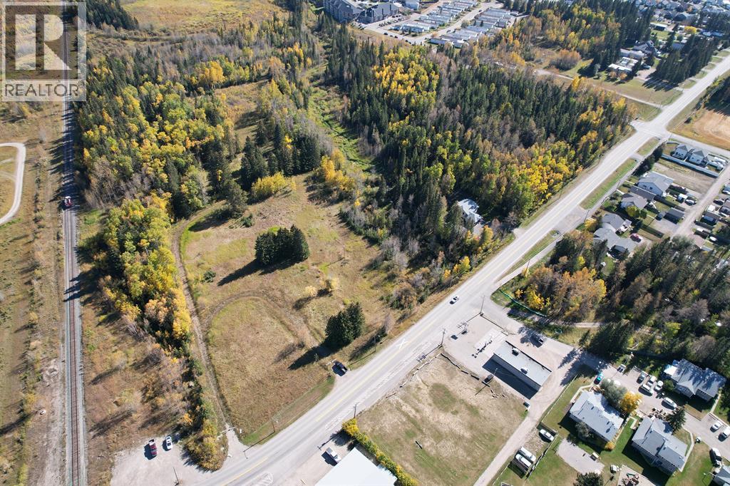 4911 62 Street, Rocky Mountain House, Alberta  T4T 1G1 - Photo 12 - A2284295