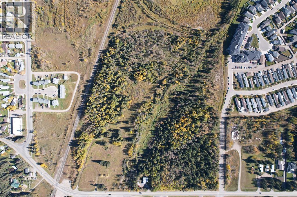 4911 62 Street, Rocky Mountain House, Alberta  T4T 1G1 - Photo 14 - A2284295